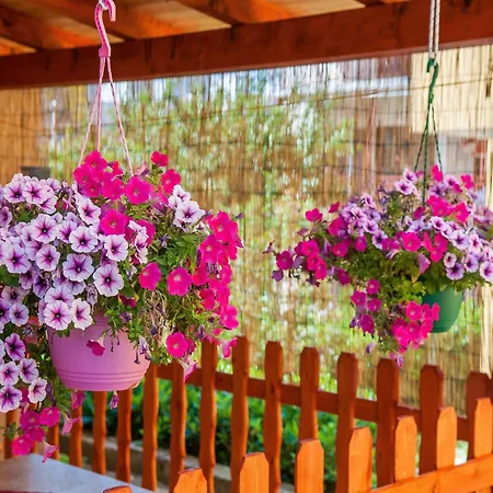 Anita-triple With Terrace *